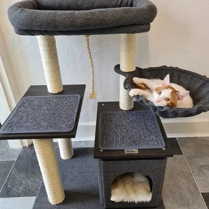 Albero Tiragraffi per Gatti 60x40x83 cm in Sisal Grigio - immagine 2