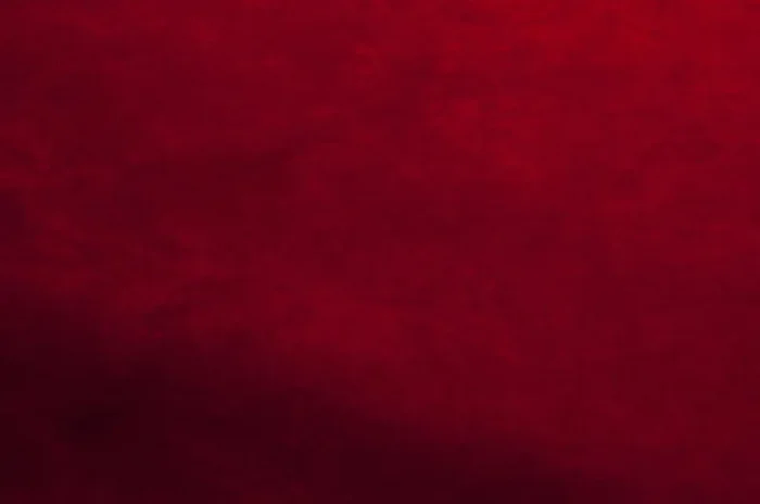 ARPIMEX Bobina Natale Suede H 28 Cm 2,5 Mt Burgundy