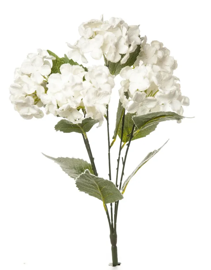 ARPIMEX Bush 6 Ortensie Innevate Natale 48 Cm Bianco