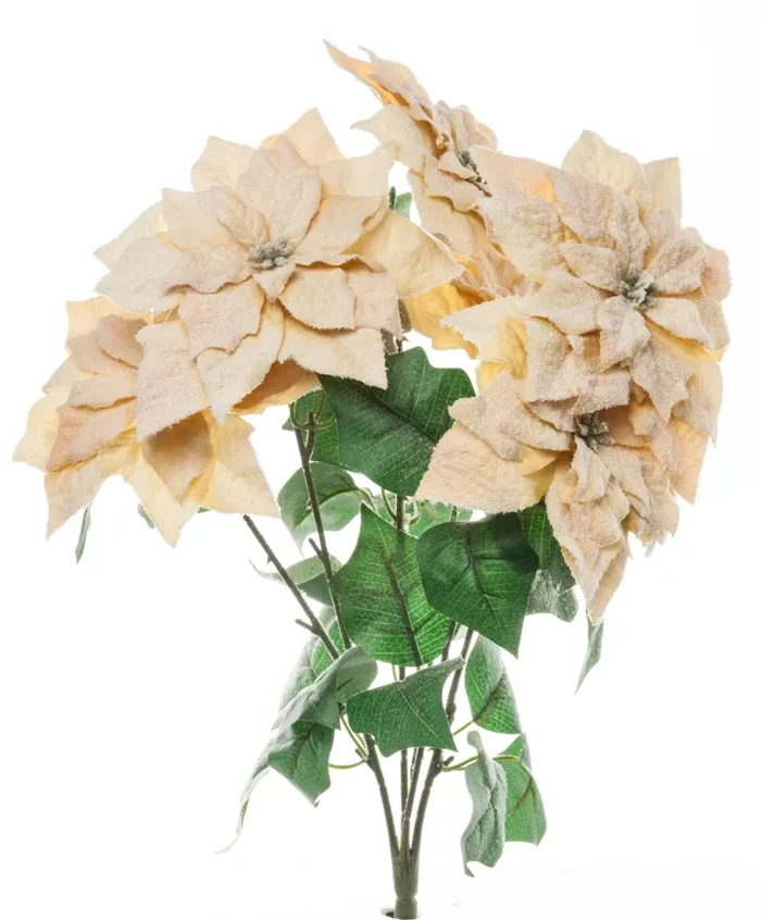 ARPIMEX Bush 6 Stella Natalizia Innevata 42 Cm Honey Online