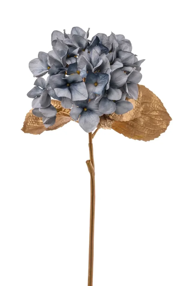 ARPIMEX Ortensia Singola H 60 Cm Blu