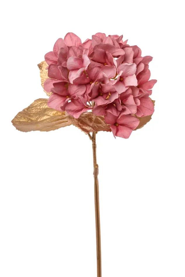 ARPIMEX Ortensia Singola H 60 Cm Rosa