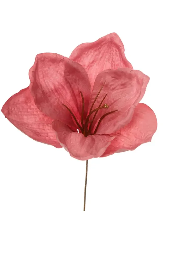 ARPIMEX Pick Amarillys D 16 Cm H 18 Cm Rosa