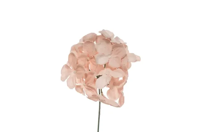 ARPIMEX Pick Ortensia Innevata 19 Cm Cipria