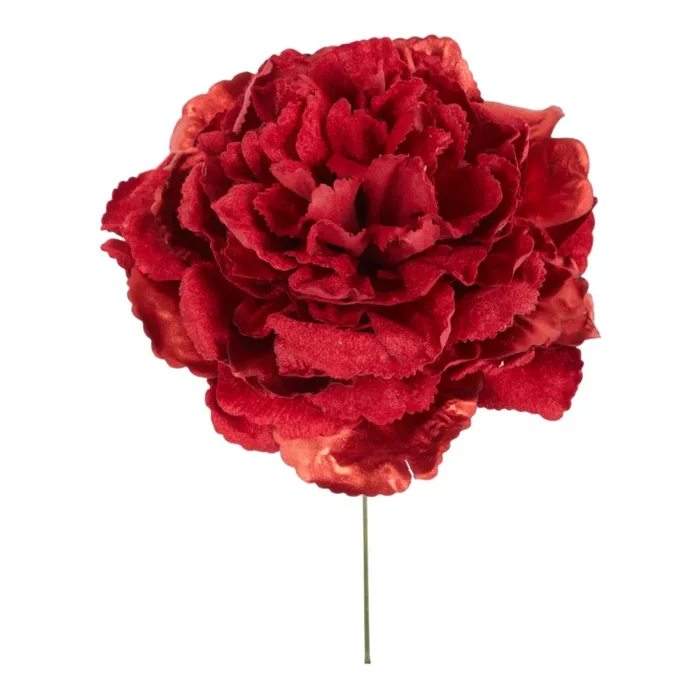 ARPIMEX Pick Peonia 23 Cm Rosso