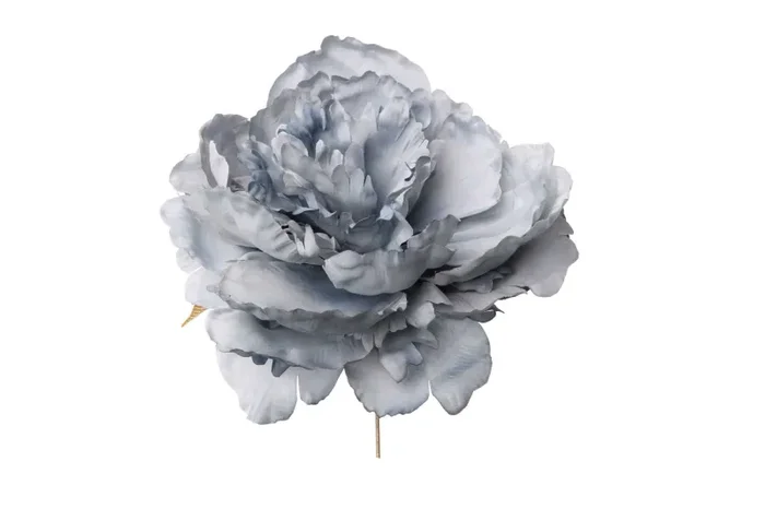 ARPIMEX Pick Peonia Singola Blu