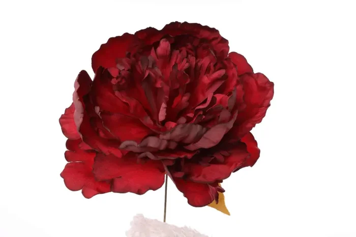 ARPIMEX Pick Peonia Singola Rossa