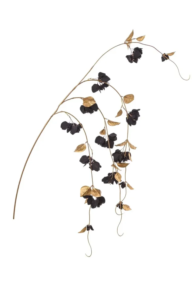 ARPIMEX Tralcio Bouganvillea H 155 Cm Nero