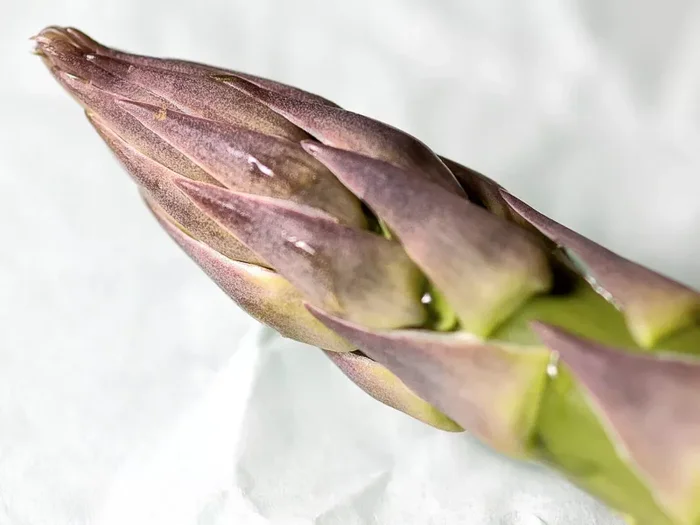 Asparagus officinalis ‘Asparago d’Argenteul’ SEEDS