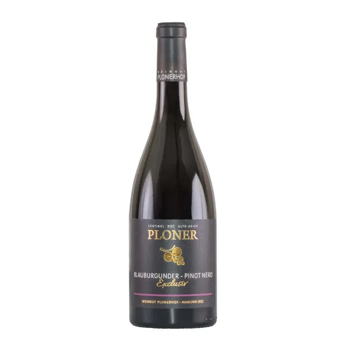 Blauburgunder Pinot Nero Riserva Exclusiv 2020 Magnum – Plonerhof Vendita calda online