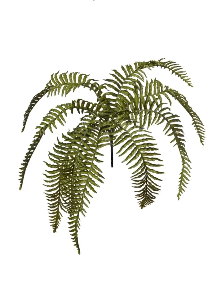 Conti Mazzo Felce 80 Cm x 9 Rami Green Vendita calda online