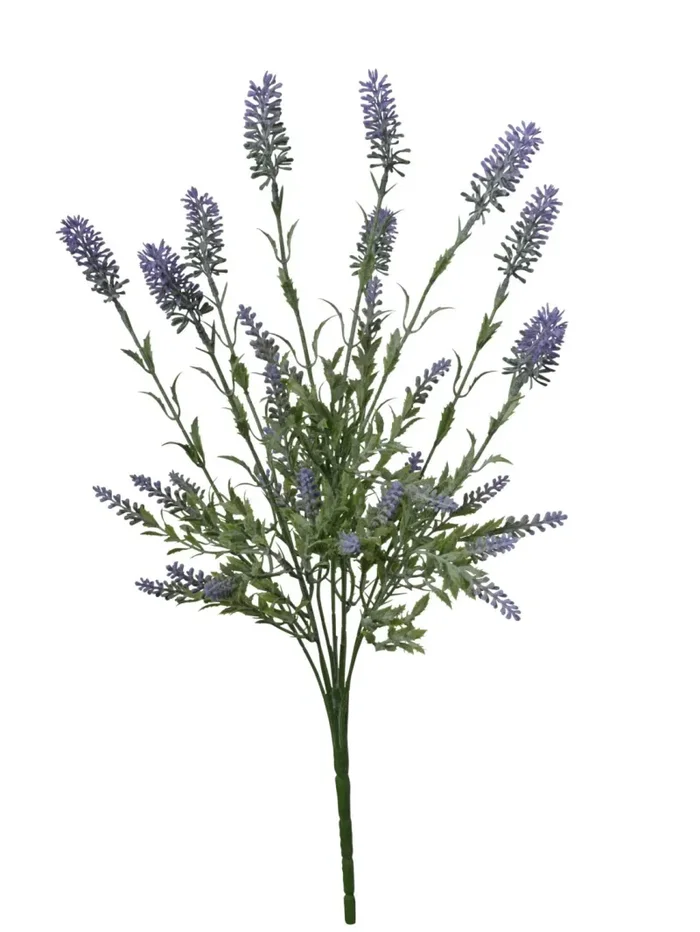 Conti Mazzo Lavanda H 49 Cm Purple
