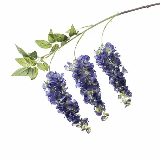 Conti Ramo Glicine 90 Cm Blue Online ora