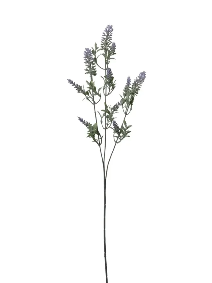 Conti Ramo Lavanda H 66 Cm x 3 Purple