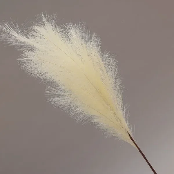 Conti Ramo Pampas 105 Cm Cream