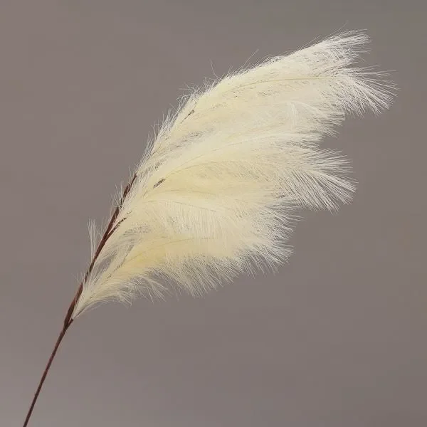 Conti Ramo Pampas 130 Cm Cream