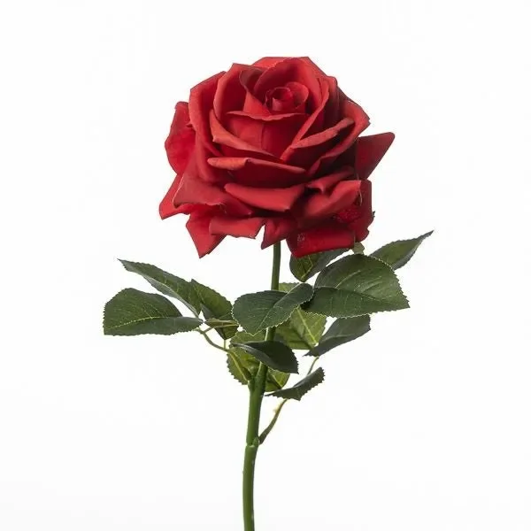 Conti Ramo Rosa H 75 Cm Red