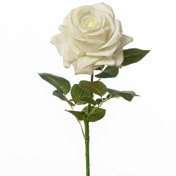 Conti Ramo Rosa H 75 Cm White