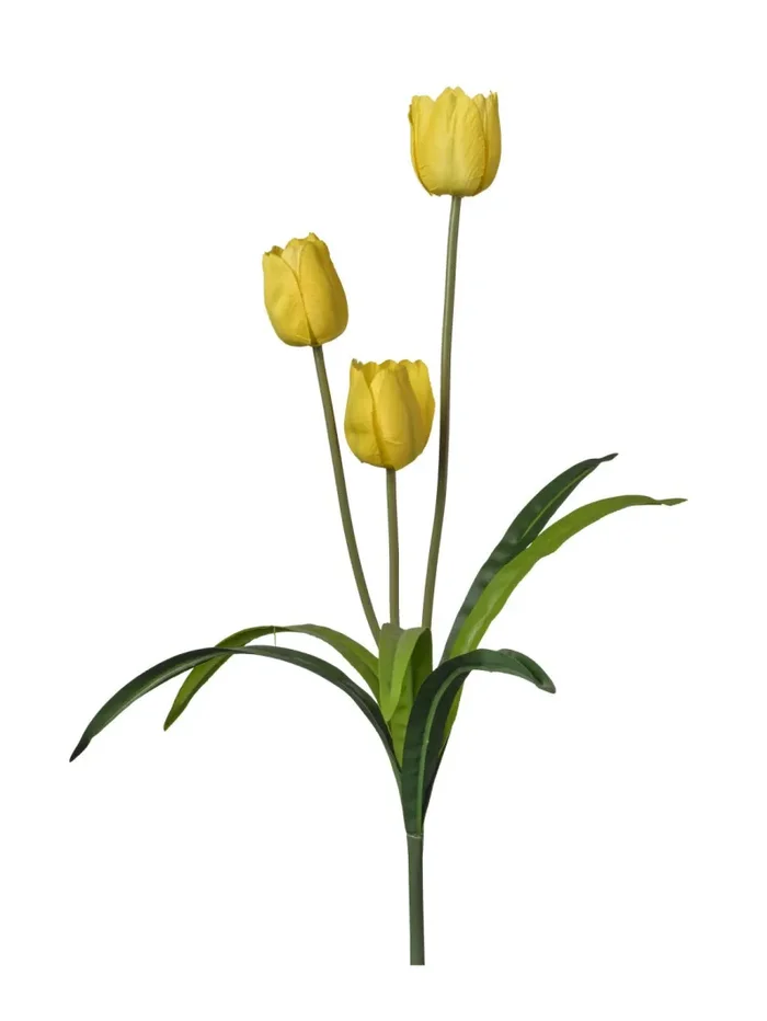 Conti Ramo Tulipano H 50 Cm x 3 Fiori Yellow