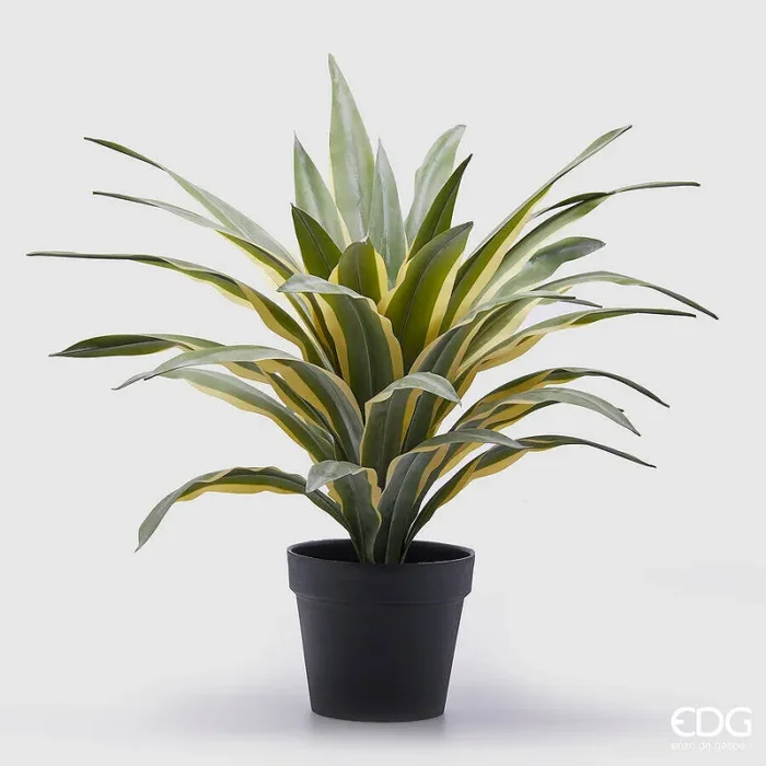 EDG Enzo De Gasperi Agave Succ. con Vaso Artificiale H 60 Cm Green Mix