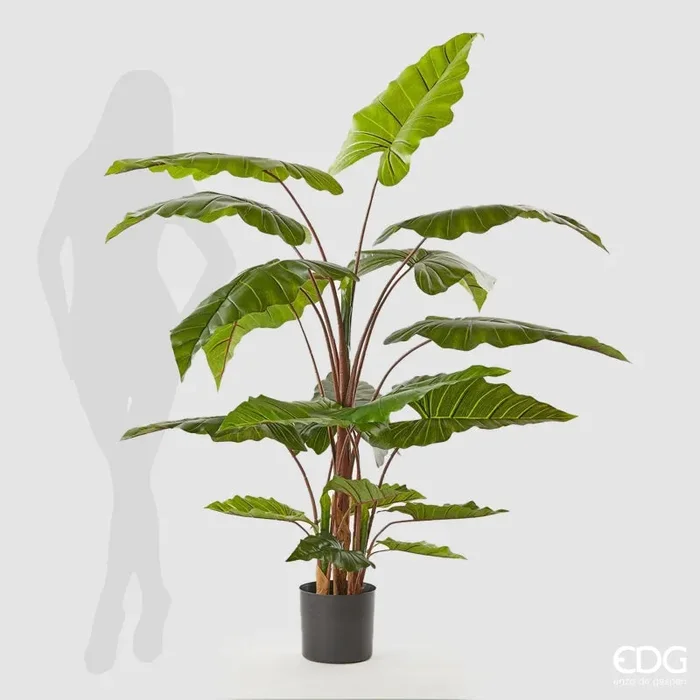 EDG Enzo De Gasperi Alocasia Chic con Vaso Artificiale H 170 Cm Green - immagine 2