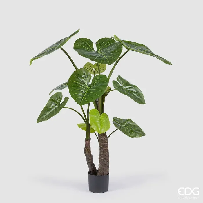 EDG Enzo De Gasperi Alocasia con Vaso Artificiale H 180 Cm Green Saldi