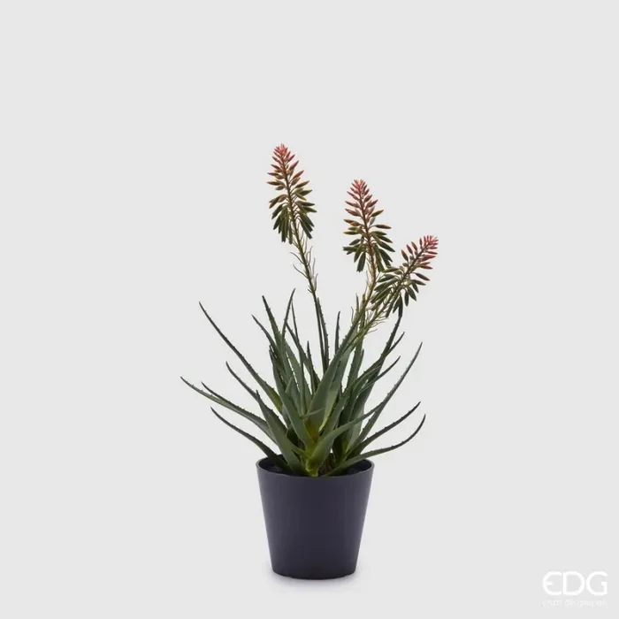 EDG Enzo De Gasperi Aloe Succ. con Fiori e Vaso Artificiale H 50 Cm Green Online