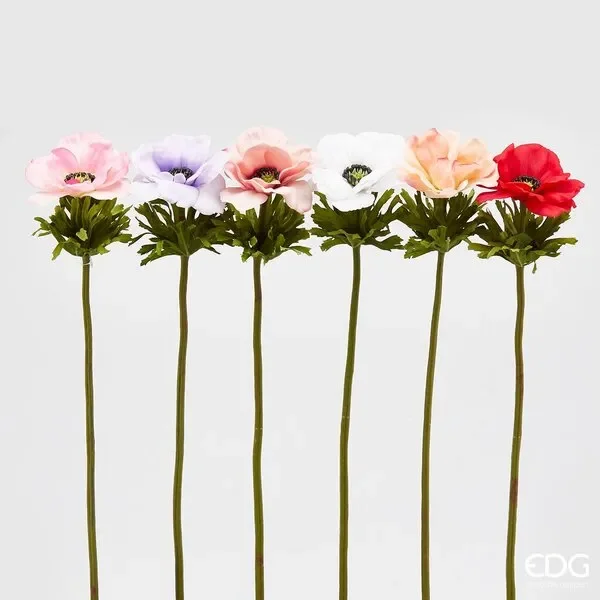 EDG Enzo De Gasperi Anemone Chic Ramo H 50 Cm Multicolor 6 Pz Fornitura