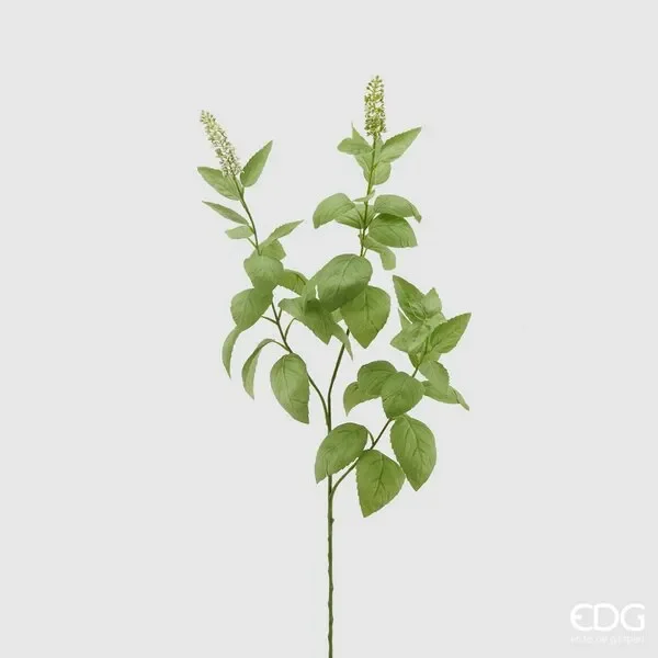 EDG Enzo De Gasperi Basilico Fiorito Ramo H 90 Cm Fiori Bianchi