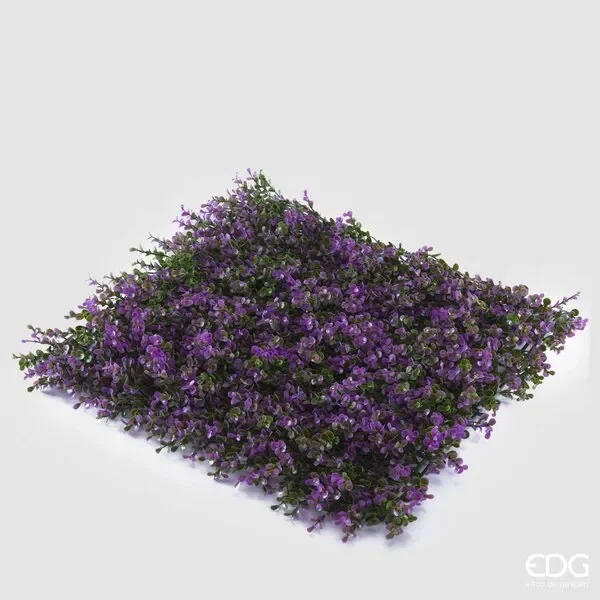 EDG Enzo De Gasperi Bosso Siepe 1mtx1mt B2 Lilac