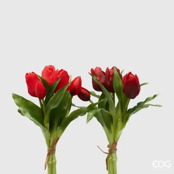 EDG Enzo De Gasperi Bouquet 5 Tulipani Olis Ass. H 28 Cm Red 1 Pz