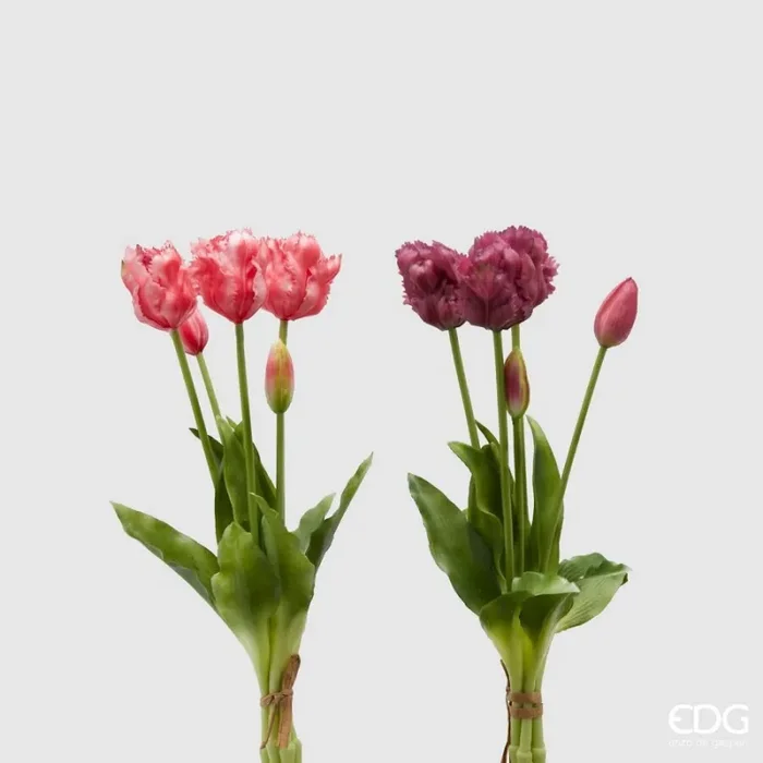 EDG Enzo De Gasperi Bouquet 5 Tulipani Parrot Olis Ass. H 40 Cm Two Tone Pink 1 Pz