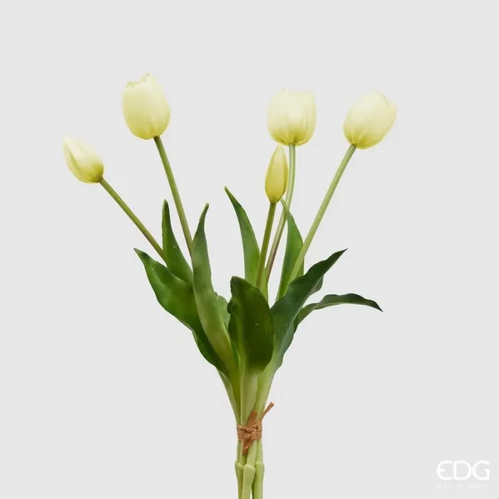 EDG Enzo De Gasperi Bouquet di 5 Tulipani Chiusi Gomma H 40 Cm Bianchi