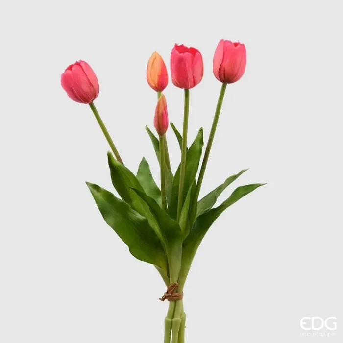 EDG Enzo De Gasperi Bouquet di 5 Tulipani Chiusi Gomma Olis H 40 Cm Beauty