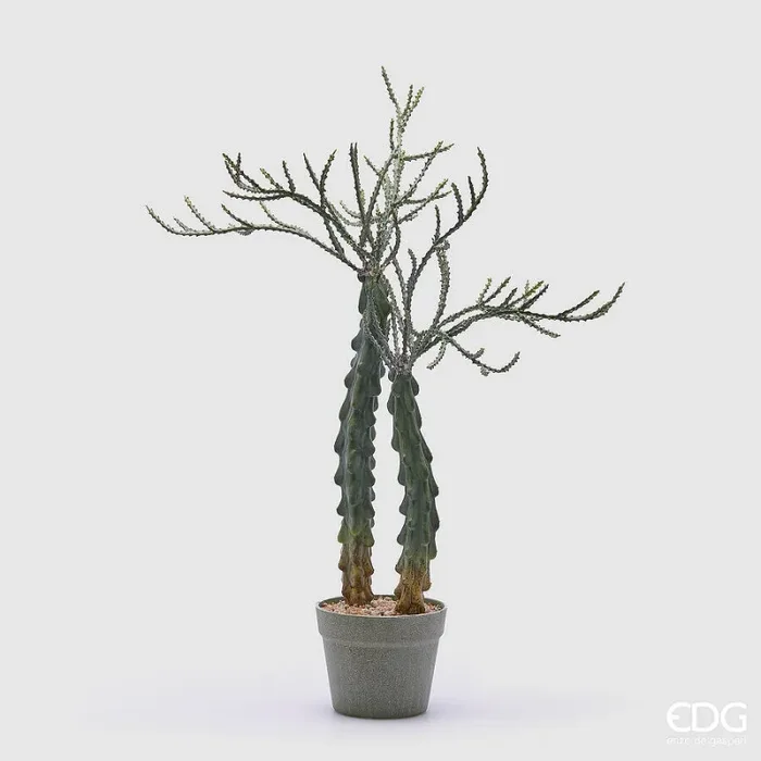 EDG Enzo De Gasperi Cactus Cereus Succ. con Vaso Artificiale H 75 Cm Green