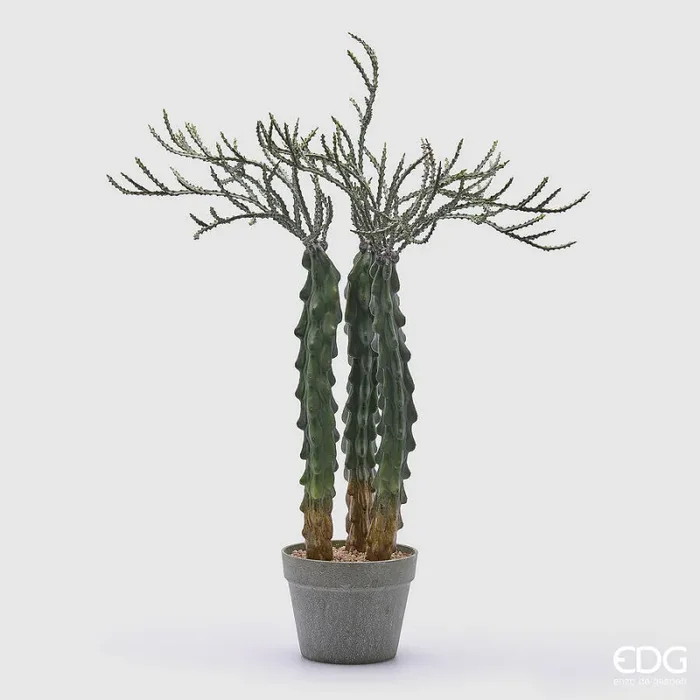 EDG Enzo De Gasperi Cactus Cereus Succ. con Vaso Artificiale H 80 Cm Green