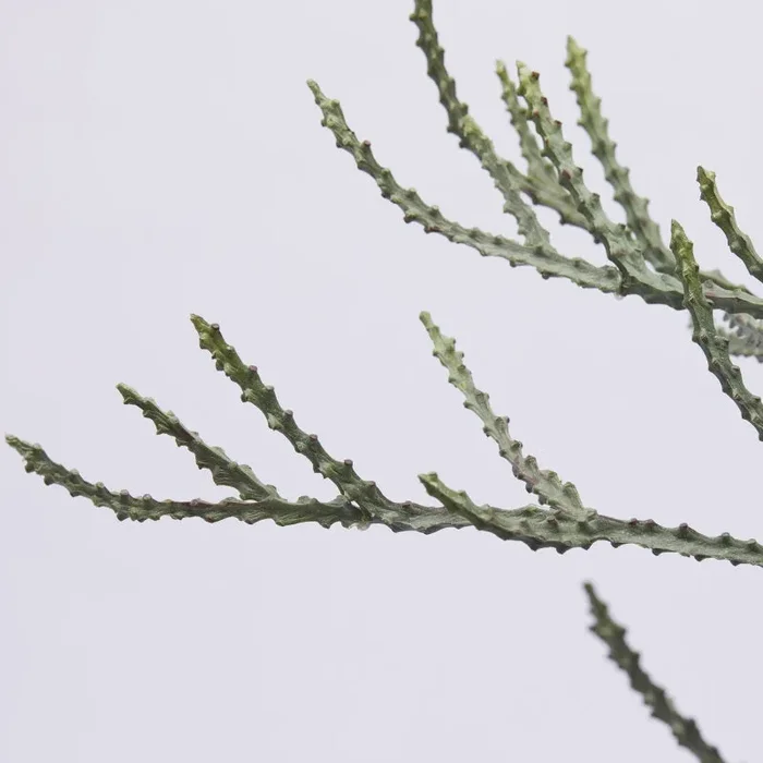 EDG Enzo De Gasperi Cactus Cereus Succ. con Vaso Artificiale H 80 Cm Green - immagine 2