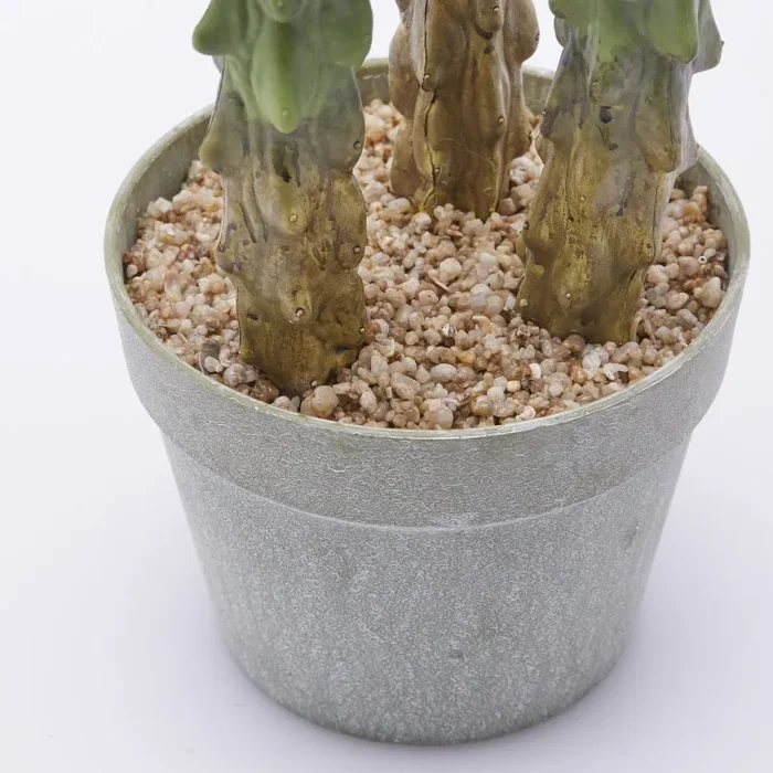 EDG Enzo De Gasperi Cactus Cereus Succ. con Vaso Artificiale H 80 Cm Green - immagine 3
