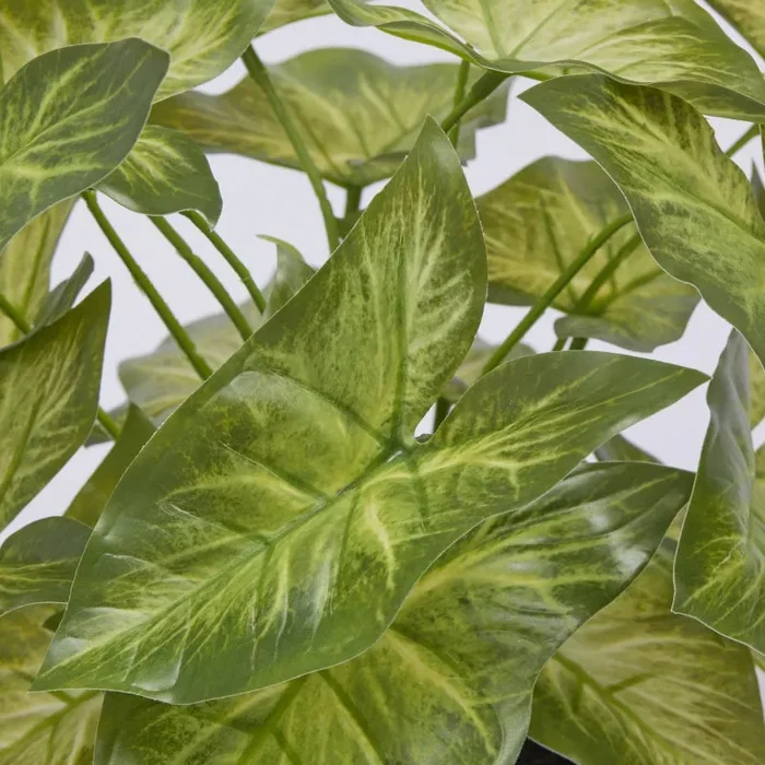 EDG Enzo De Gasperi Caladium con Vaso Artificiale H 33 Cm Green - immagine 2