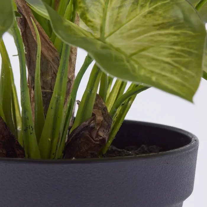 EDG Enzo De Gasperi Caladium con Vaso Artificiale H 33 Cm Green - immagine 3