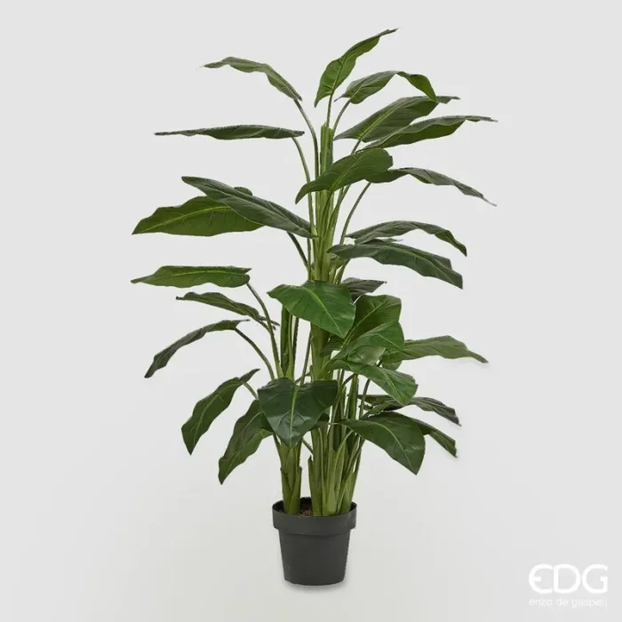 EDG Enzo De Gasperi Calla Pianta con Vaso Artificiale H 145 Cm Green