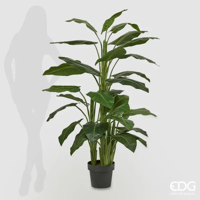 EDG Enzo De Gasperi Calla Pianta con Vaso Artificiale H 145 Cm Green - immagine 2