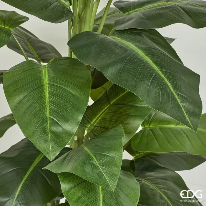 EDG Enzo De Gasperi Calla Pianta con Vaso Artificiale H 145 Cm Green - immagine 3