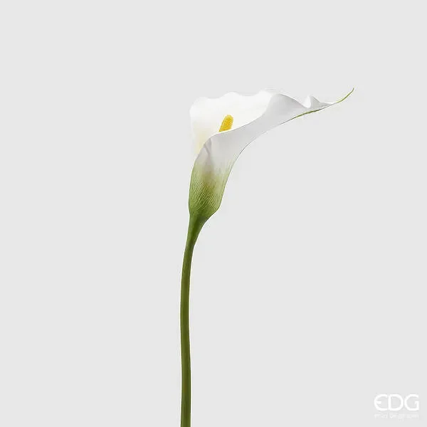 EDG Enzo De Gasperi Calla Ramo H.80 C4 White