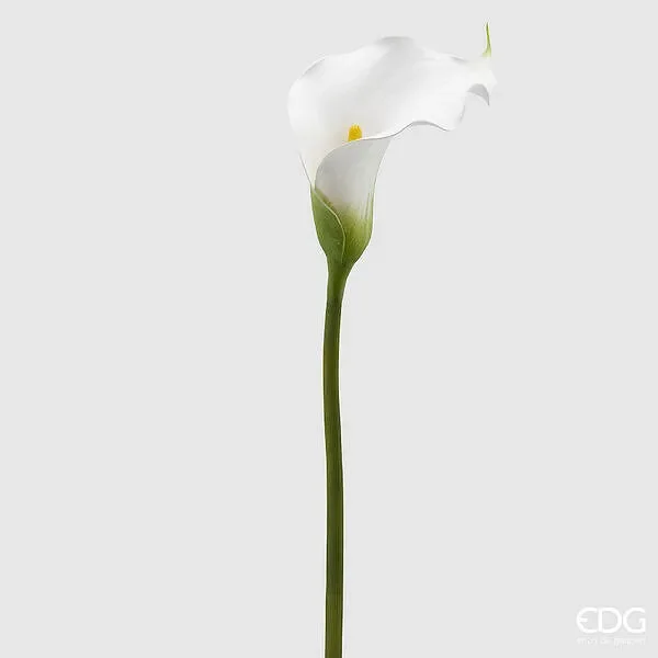 EDG Enzo De Gasperi Calla Ramo H.90 C4 White