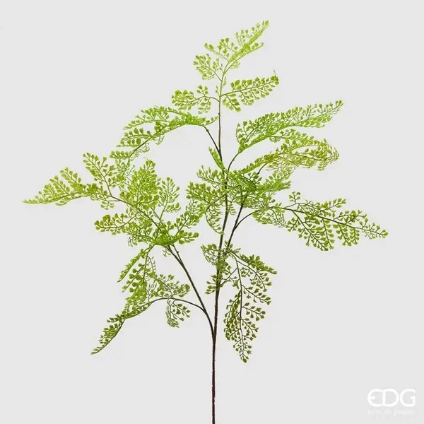 EDG Enzo De Gasperi Capelvenere Olis Ramo H105 C2 Green