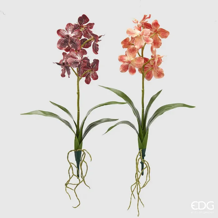 EDG Enzo De Gasperi Cespuglio Orchidea Vanda Artificiale con Foglio H 70 Cm Ass. Orange Mix 1 Pz