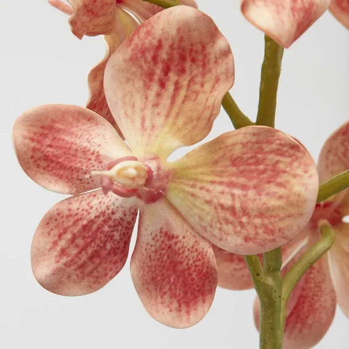 EDG Enzo De Gasperi Cespuglio Orchidea Vanda Artificiale con Foglio H 70 Cm Ass. Orange Mix 1 Pz - immagine 3