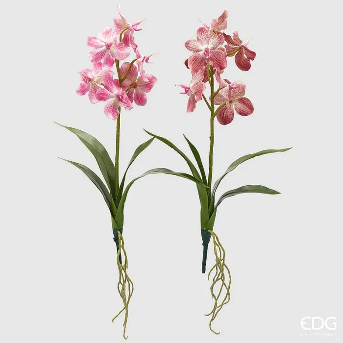 EDG Enzo De Gasperi Cespuglio Orchidea Vanda Artificiale con Foglio H 70 Cm Ass. Two Tone Pink 1 Pz
