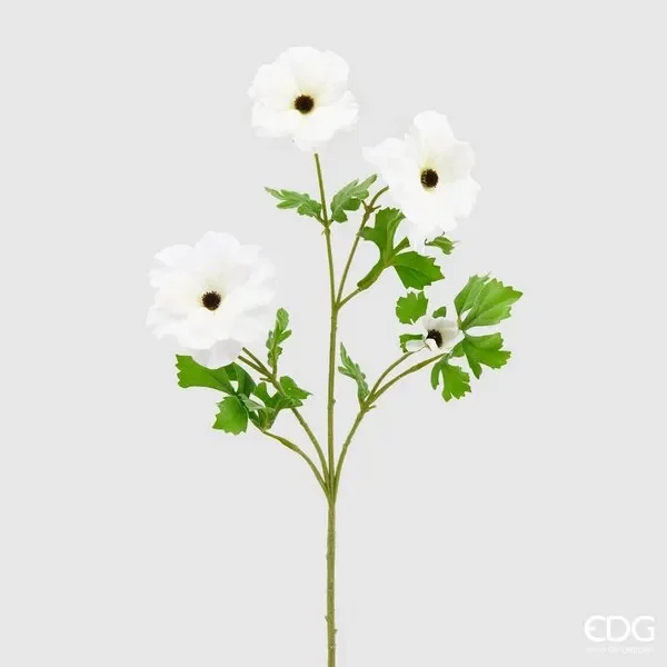 EDG Enzo De Gasperi Cosmos Rex 4 Rami H 65 Cm Bianco